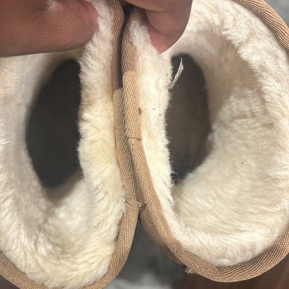 Short Chestnut Uggs - Picture 4 of 6